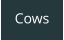 Cows