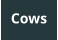 Cows